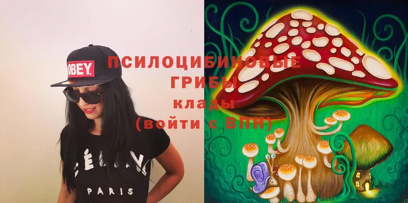 ссылка на мегу рабочий сайт  Белово  Галлюциногенные грибы Magic Shrooms 